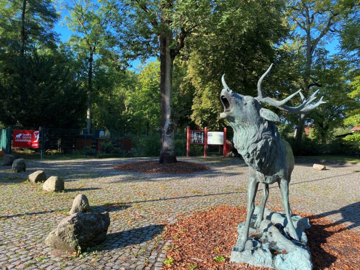 Eingangsbereich Tierpark Angermünde, Foto: Alena Lampe