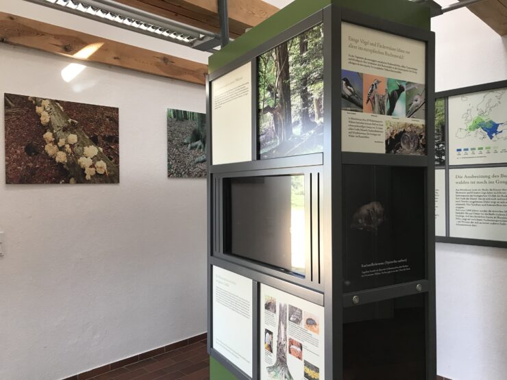 Ausstellung Infopunkt Grumsin, Foto: Anet Hoppe