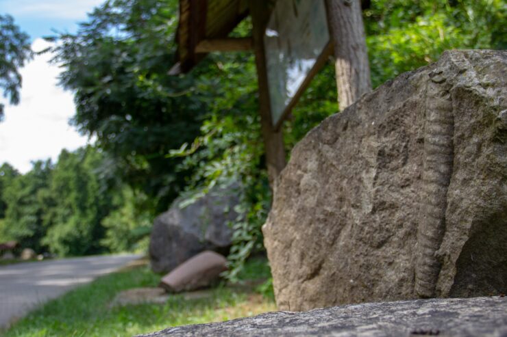 Blick auf den Geologischer Garten, Stolzenhagen, Foto: ScottyScout